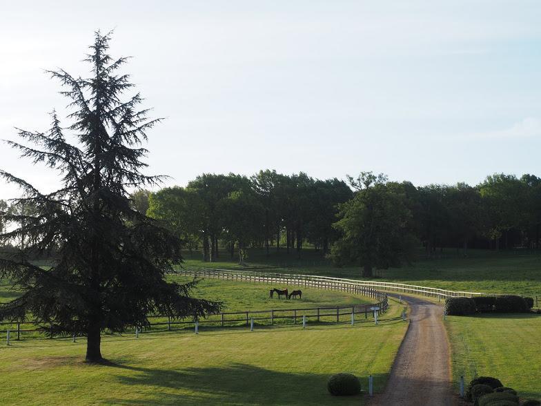 Hotel Haras De La Potardiere Crosmieres ภายนอก รูปภาพ